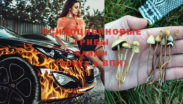 экстази Горнозаводск